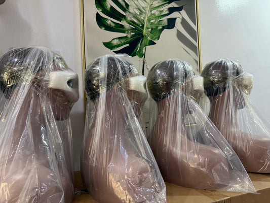 Mannequin Head